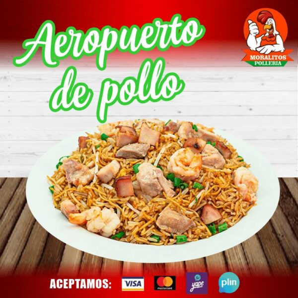 Aeropuerto De Pollo