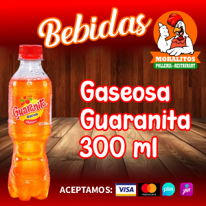 Gaseosa Guaranita 300 ML